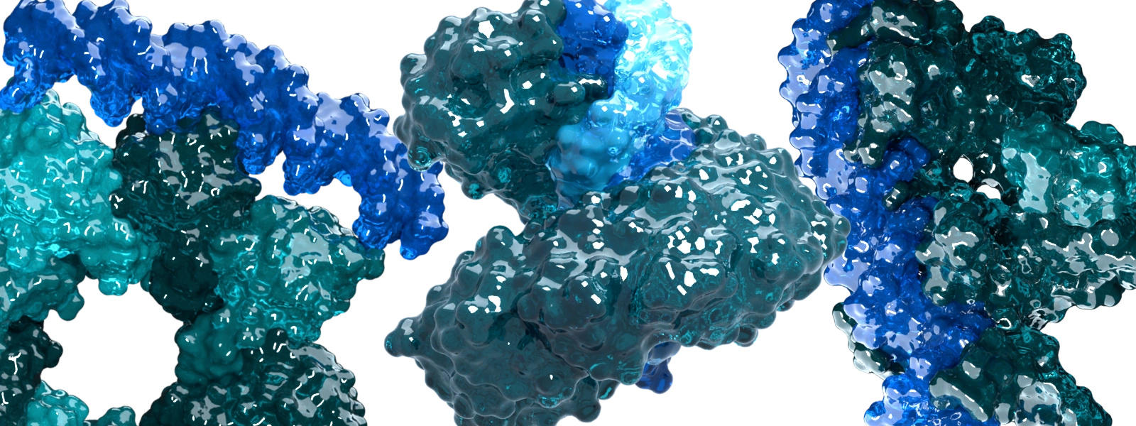 Pacesa lab - Computational modelling and design of biological assemblies