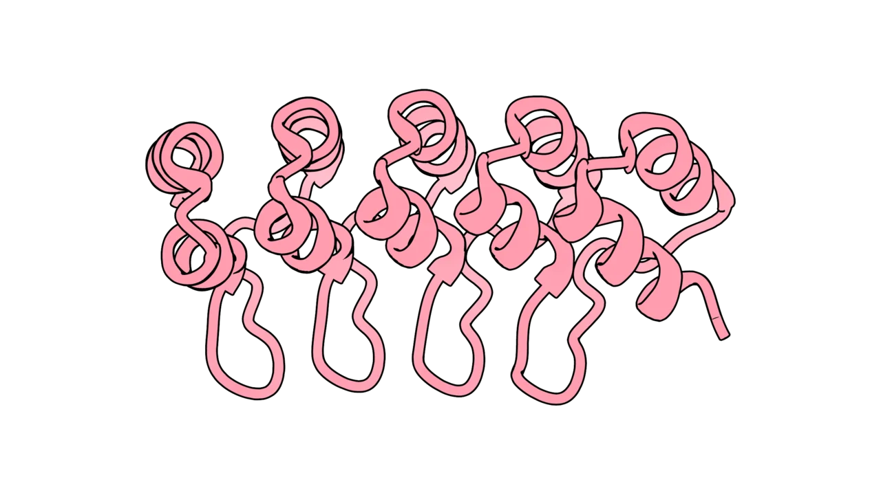 Ankyrin repeat proteins (ARP)