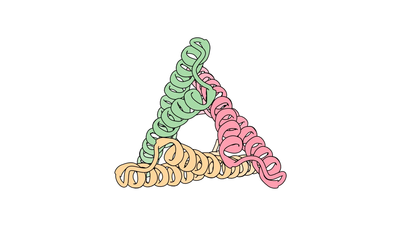 Homo-oligomers