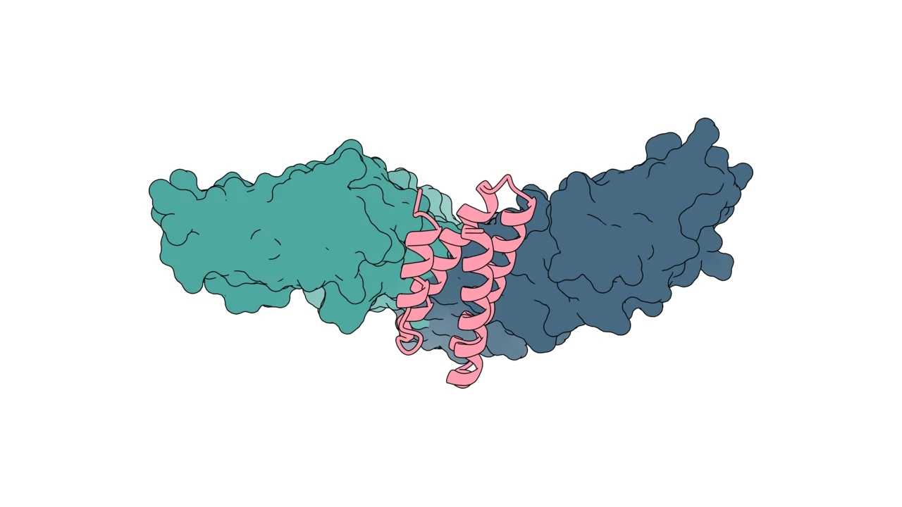 Molecular glue and bridging