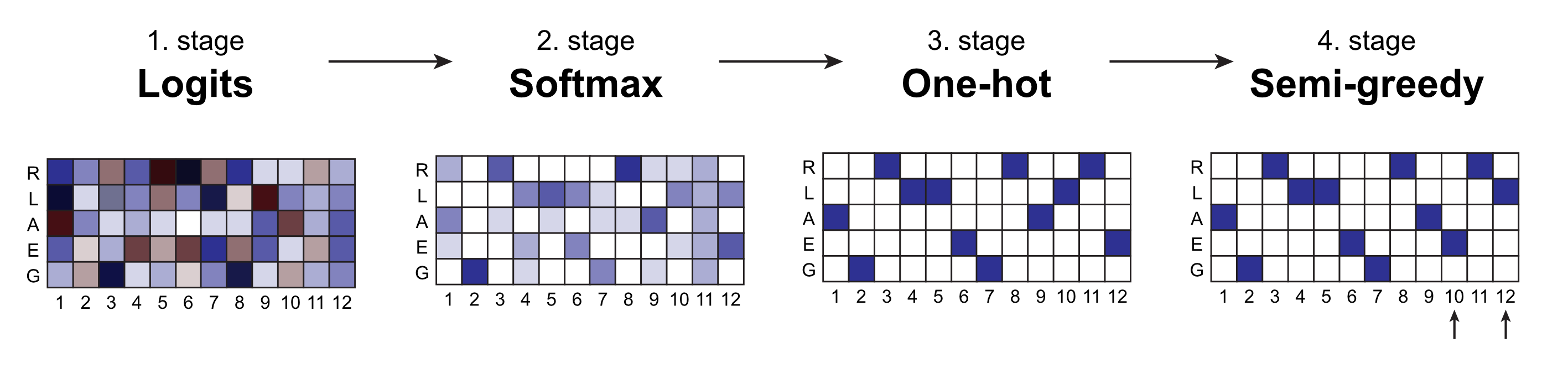 4 stage BindCraft Design Protocol