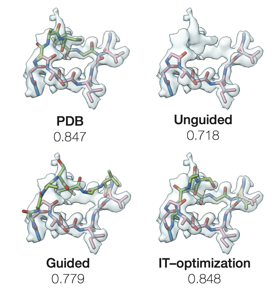 Inference-time optimization for experiment-grounded protein ensemble generation