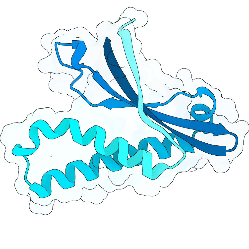Can LLMs design proteins?