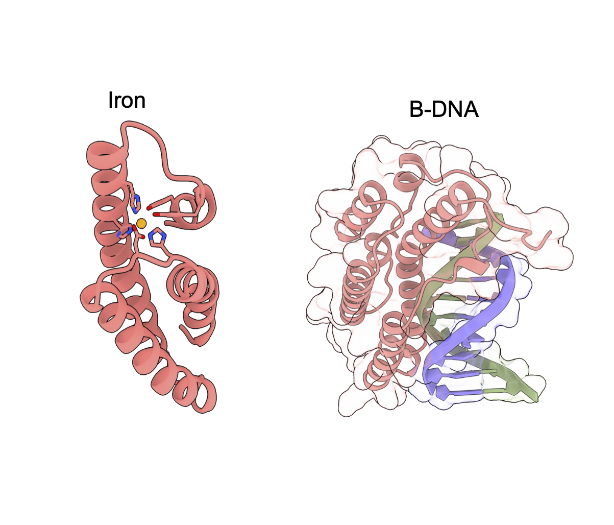 Boltzdesign1: Inverting all-atom structure prediction model for generalized biomolecular binder design