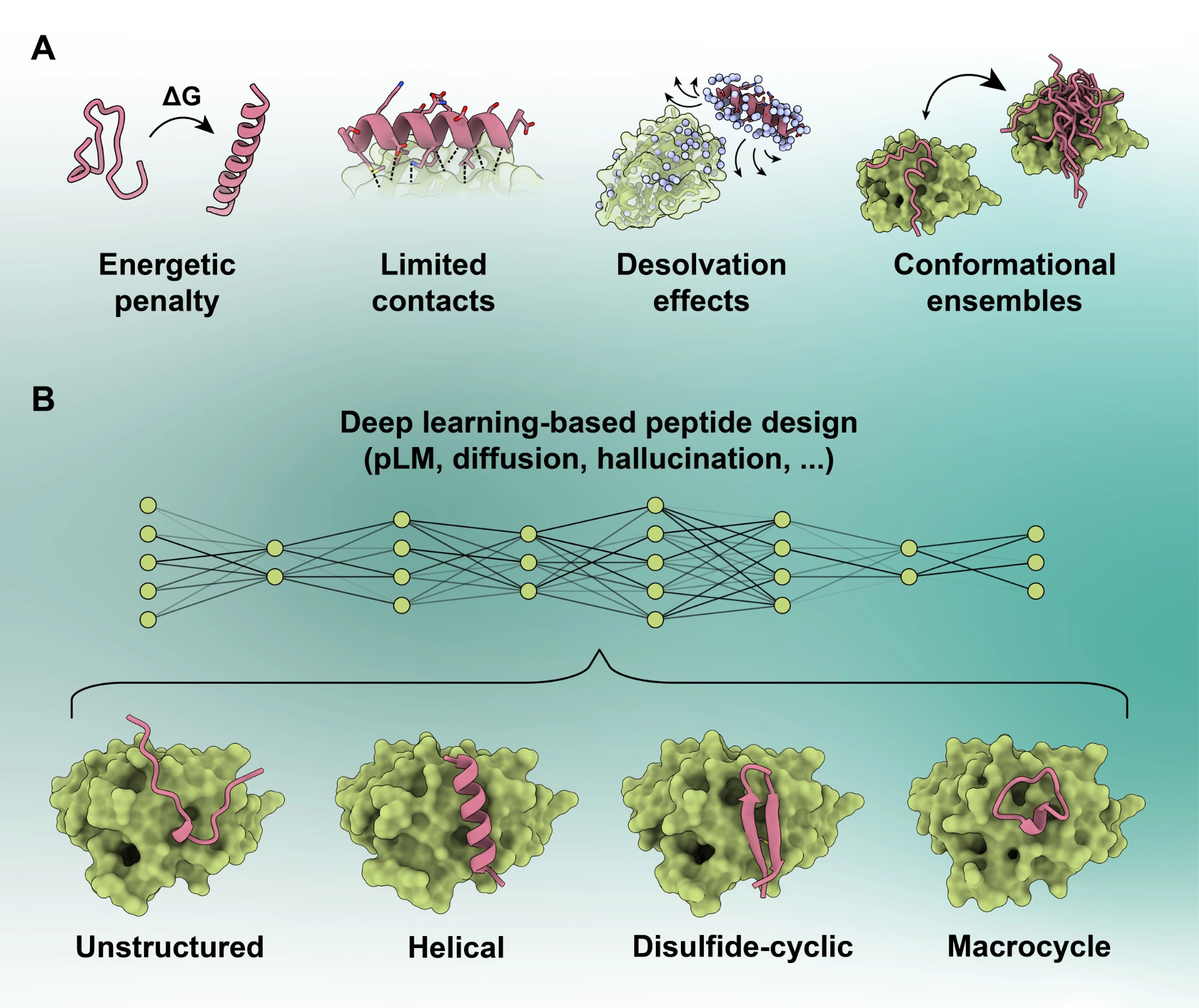 Peptide Design Review