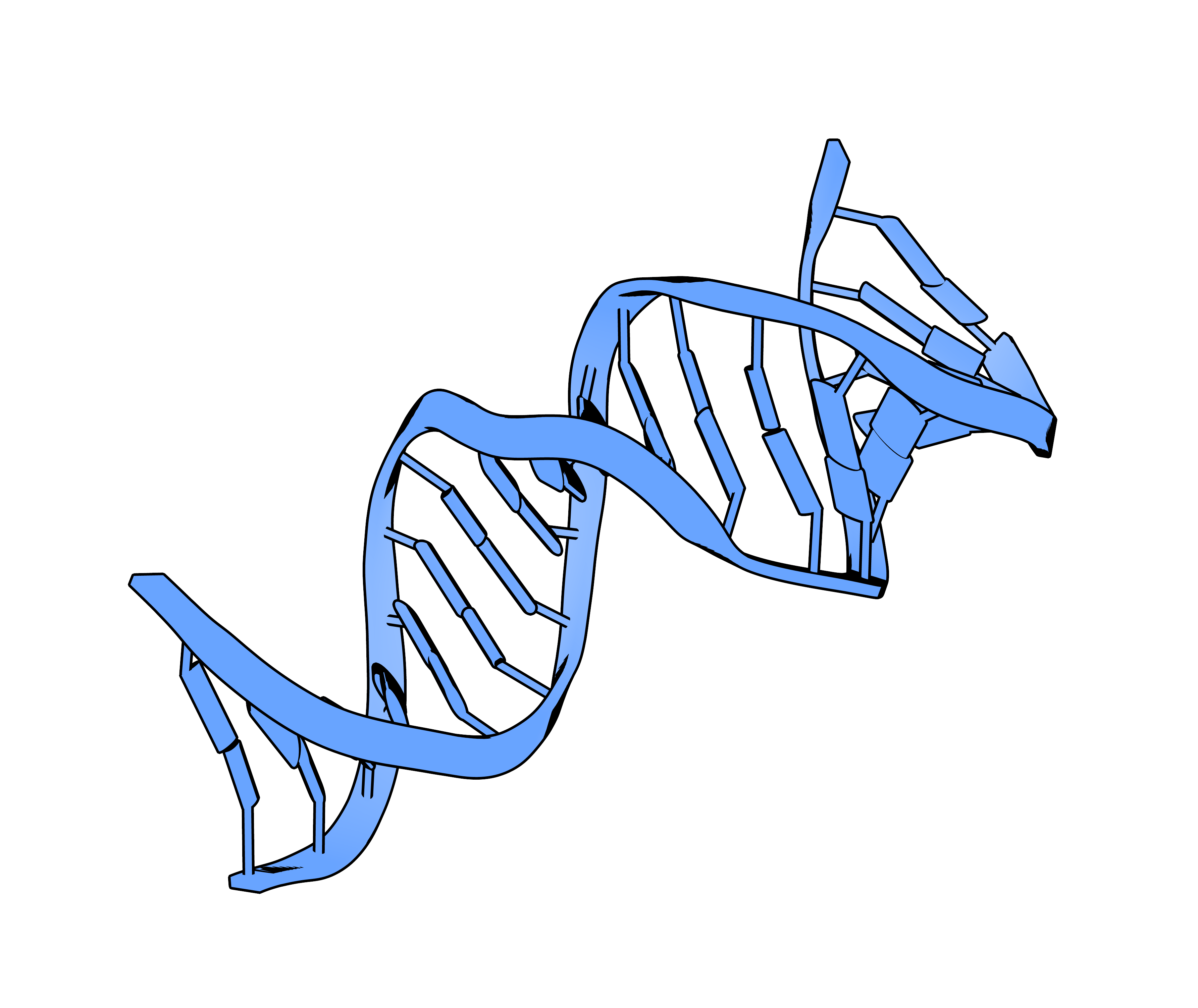 Oligonucleotide Property Calculator